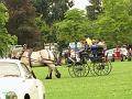 24-7-2011 5de Crijtrally (124)-2
